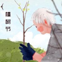 哪一天是2022年的几点?这个假期适合什么样的作物?