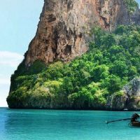 独家摩羯座情感报价