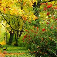 哪个月是最好的明星?