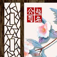 ️装饰公司名为姓名建议