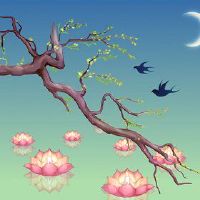 2022雨水脚在雨水季节,菠萝促进,新陈代谢
