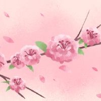 八字官杀旺伤官旺事业巨大 官杀混杂身弱行伤官大运