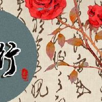 在申请中出生的五条线的未来命运是什么?