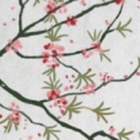 特别聪明的孩子要破相 眼睛有神最聪慧