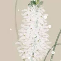 正月十五元宵节点蜡烛的寓意 什么时候点蜡烛最好