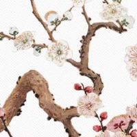 2022年正月二十二出生的女孩命好不好 慧眼独具宜遇贵人