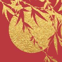 十五点的第一个月，蜡烛，田源的含义很开心