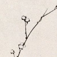 劳务公司起什么名称好 企业取名时尚大气