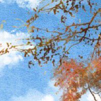 妻子旺自己事业的八字 财星清透易有旺夫女