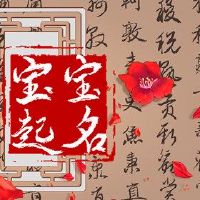 宝贝，一个婴儿，出生的婴儿，出生，出生在老虎年