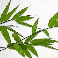 1999年属兔人2022年考研运势 可深造有利于自身发展