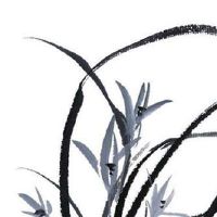 金融公司起什么名字好 企业取名带财有内涵