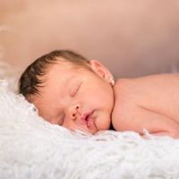 姓杨五行属木的孩子名字精选 优雅的宝宝名字锦集