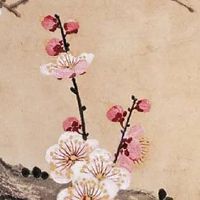 今年属猪的财运和运气如何 虎年六合"天德"吉星协助