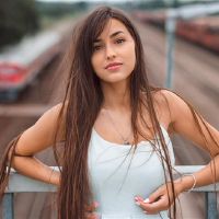 十二生肖，都是房屋的家园