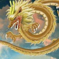 64年的龙婚姻64年龙2022财富