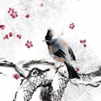 八字地支子的藏干是什么?