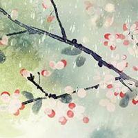 客厅放什么花好看又旺财 白鹤芋风水寓意一帆风顺