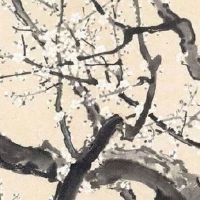 起名网公司免费取名 带有财运的企业起名大全