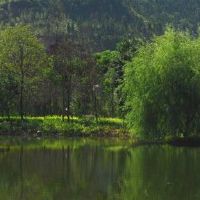 幸运的是什么意思？