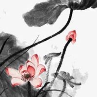 车牌号转让的唯一方法 代表顺利发财的车牌号码