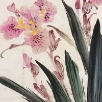 豹子车牌号一般都是怎么弄到的 三位吉利车牌号推荐