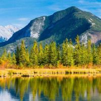 紫色梅星七只小猫字符和爱情视图