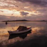 这两个星座的爱情的爱情,水瓶座是独立的,摩羯座没有留下路