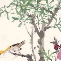 农机公司名字参考 企业起洋气顺口的名字