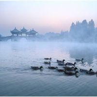 2019年11月26日出生的女孩的名字是什么?五个元素是什么?