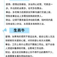 一天中滴,十二生肖动机一周(2.21-2.27)