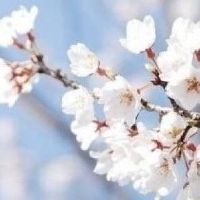 耿的诞生是什么？