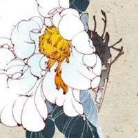 开服装店名字简单大气 热门店铺起名招财用字