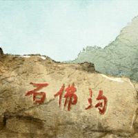 2022年,不利研究的八个字符保真度太大了。