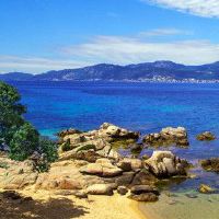 紫色格言巨人星形和爱情视图