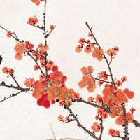 怎样化解本命年的灾难 放生化解本命年带来的灾难