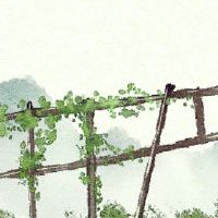 八字事业运旺不代表财旺 印星旺盛命里自身过弱