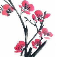 2022年属虎本命年戴什么好 生肖虎适合佩戴虎眼石有聚财转运寓意