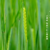 2022小宁是几天几天的特定时间?