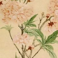 6个财运密码组合 财运亨通的手机号码