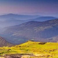 如何在莎泽洪金马岛命运，提高财务方法