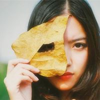 整个人揭示了十二个星座