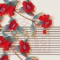 每日海上小广播，11月4日，2022年，桂西