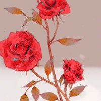 家里属相三龙如何 互相刑克发生肢体上纠纷