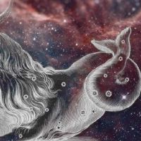 你为什么说一个瓶子男人不能放下很多瓶子?