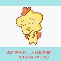 2022年,已婚,十二生肖,闪闪发光机会,更多