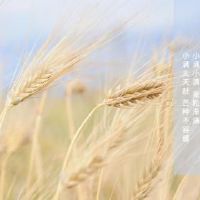 你能在2022年结婚吗?是婚姻吗?