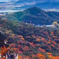 Dawu Merry人的五个要素养鱼吗？