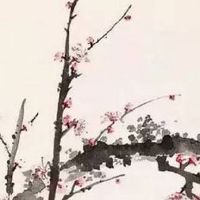 2022年38妇女节祝福语大全 感谢祝福的暖心语句