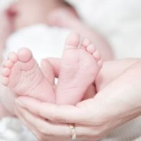 属虎的宝宝名字大全 2022新版孩子取名宜用字分享